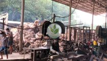 go-chanh-phu-hoa-04.jpg