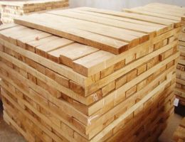 Thương nhân Trung Quốc tranh mua gỗ cao su, giá tăng “chóng mặt”
